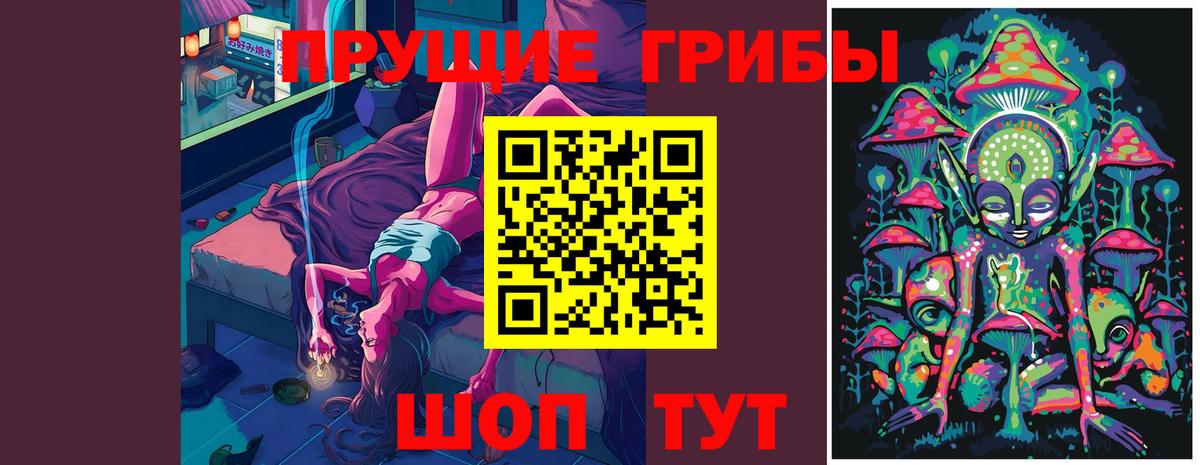 Ростов-на-Дону  Псилоцибиновые грибы Psilocybe  Вход с VPN 